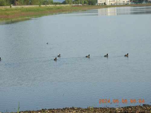 DSCN9839.JPG