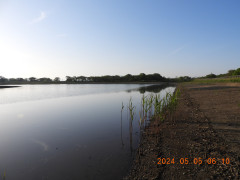 DSCN9842.JPG