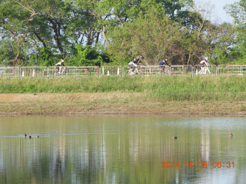 DSCN9849.JPG