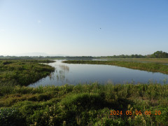 DSCN9847.JPG