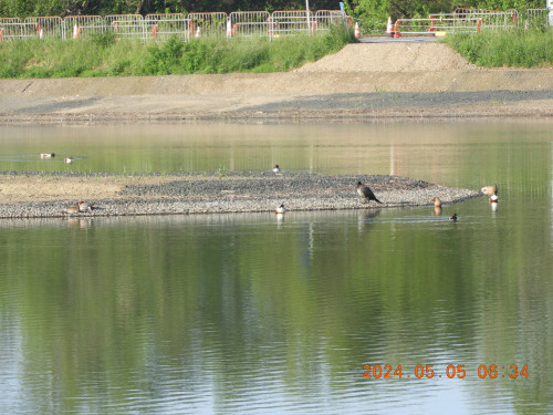 DSCN9851.JPG