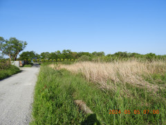 DSCN9868.JPG