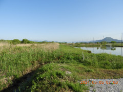 DSCN9869.JPG