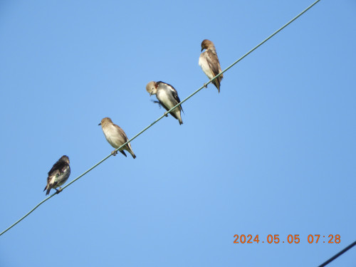 DSCN9886.JPG