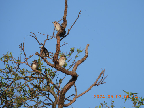 DSCN0959.JPG