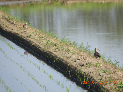 DSCN9889.JPG