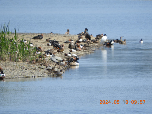 DSCN9942.JPG
