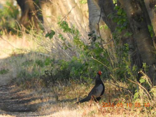 DSCN9908.JPG