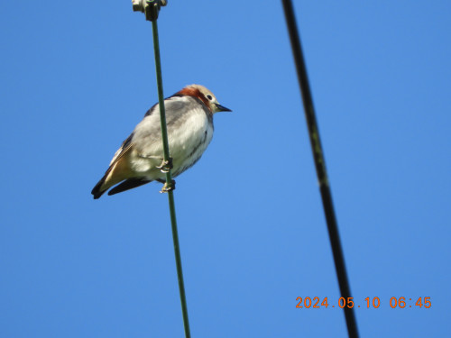 DSCN9931.JPG