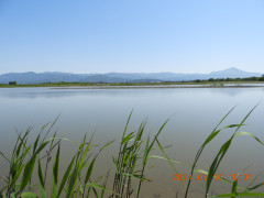 DSCN9944.JPG