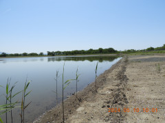 DSCN9945.JPG