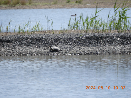 DSCN9947.JPG