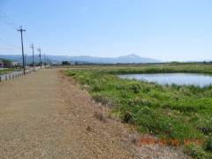 DSCN9950.JPG