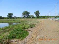 DSCN9952.JPG