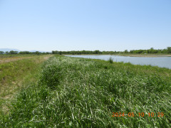 DSCN9967.JPG