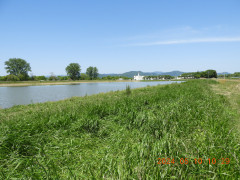 DSCN9969.JPG