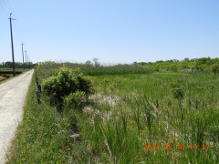 DSCN9973.JPG