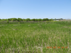 DSCN9974.JPG
