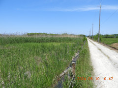 DSCN9975.JPG