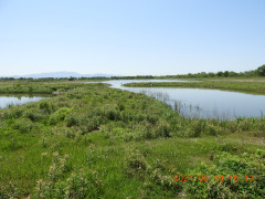 DSCN9951.JPG
