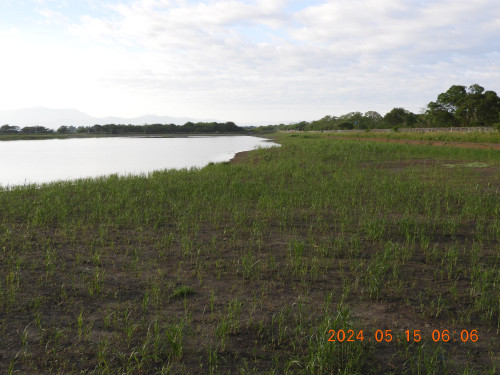 DSCN9992.JPG