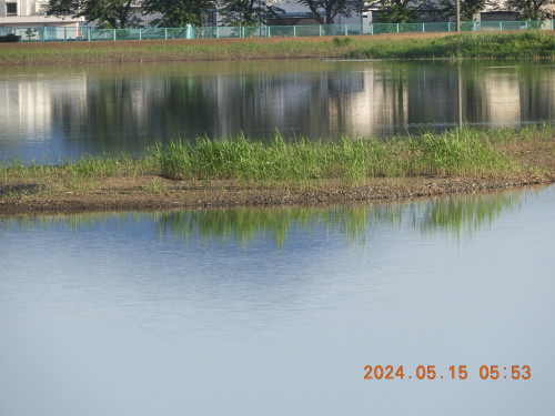 DSCN9986.JPG