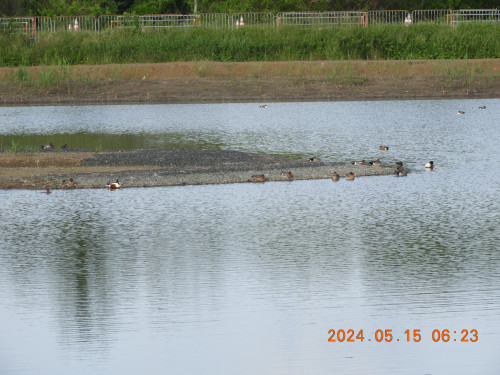DSCN0013.JPG