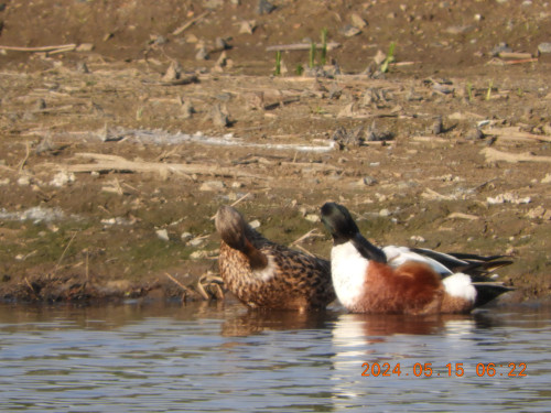 DSCN0008.JPG