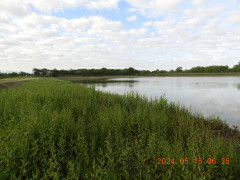 DSCN0017.JPG