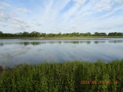 DSCN0019.JPG