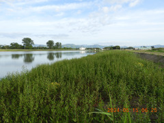DSCN0020.JPG
