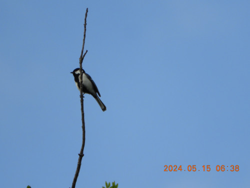 DSCN0027.JPG