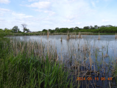 DSCN0029.JPG