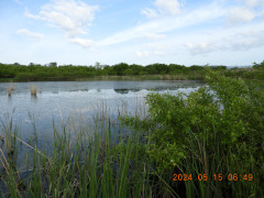 DSCN0030.JPG