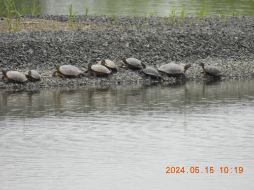 DSCN1055.JPG