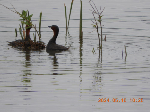 DSCN0044.JPG