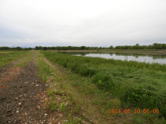 DSCN0073.JPG