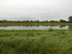 DSCN0074.JPG
