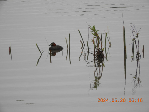 DSCN0076.JPG