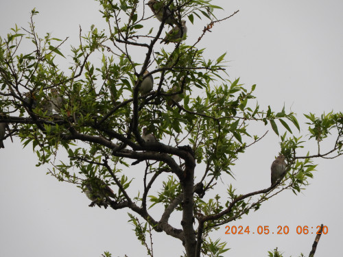 DSCN0077.JPG