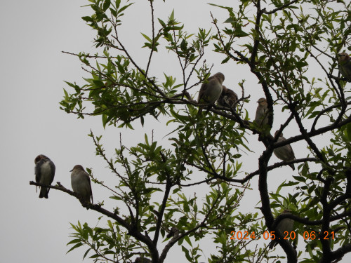 DSCN0080.JPG