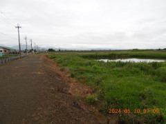 DSCN0097.JPG