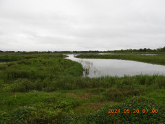DSCN0098.JPG