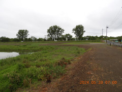 DSCN0099.JPG
