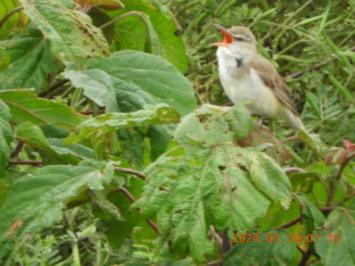 DSCN0106.JPG