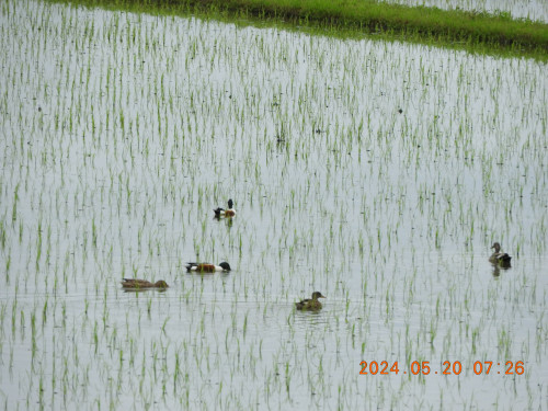 DSCN0128.JPG