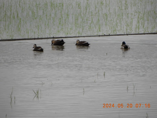 DSCN0125.JPG