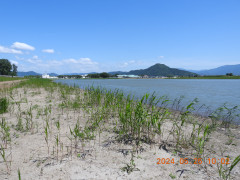 DSCN1171.JPG