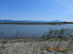 DSCN1172.JPG
