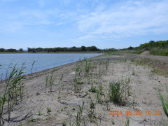 DSCN1173.JPG